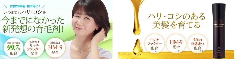 ��p�n�����A���T�C�g